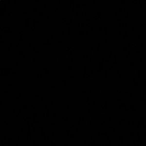 Meet your Posher, Iyonee